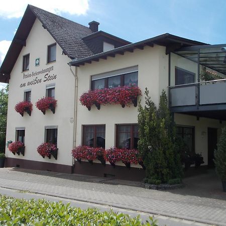 Gaestehaus "Am Weissen Stein" Cochem Exterior foto